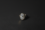 A silver ring with an oval-shaped cabochon gemstone featuring a black cat print, displayed on a dark textured surface.