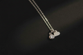 A silver chain necklace with a small round clear gemstone pendant and a small heart-shaped charm, displayed on a dark textured background.